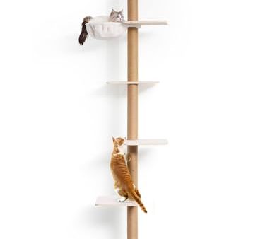 Avis FUKUMARU Arbre à Chat Murale : Test Complet