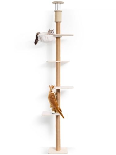 Avis FUKUMARU Arbre à Chat Murale : Test Complet