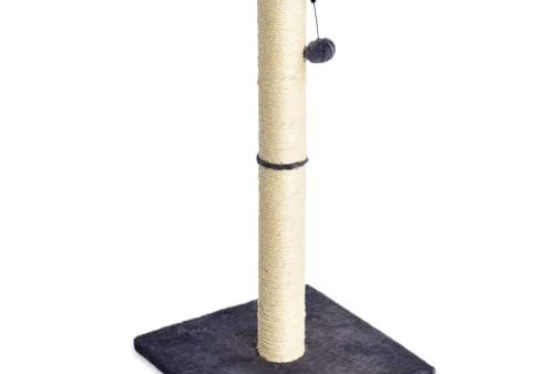 Avis Amazon Basics Arbre à chat : Test complet