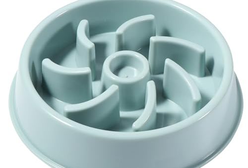 Avis Vinabo Gamelle Anti Glouton Chien : Test Complet