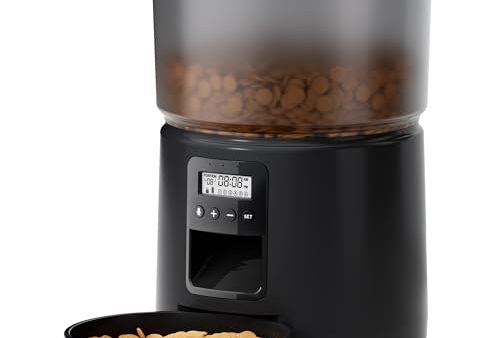 Avis Distributeur Croquettes Chat Automatique : Test Complet