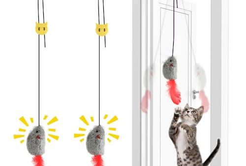 Avis FYNIGO 2Pcs Jouet Chat Interactif: Test Complet