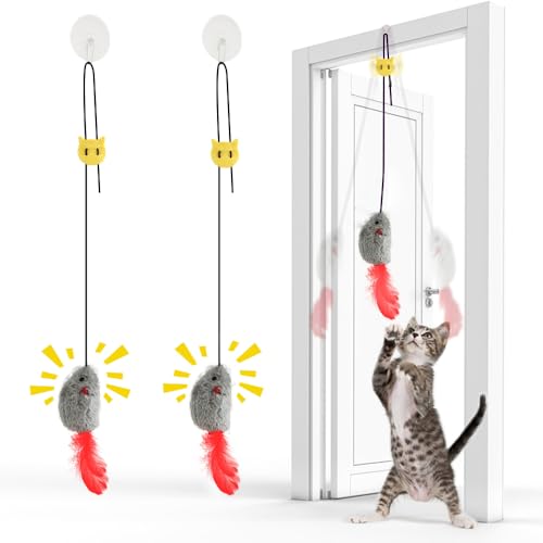 Avis FYNIGO 2Pcs Jouet Chat Interactif: Test Complet