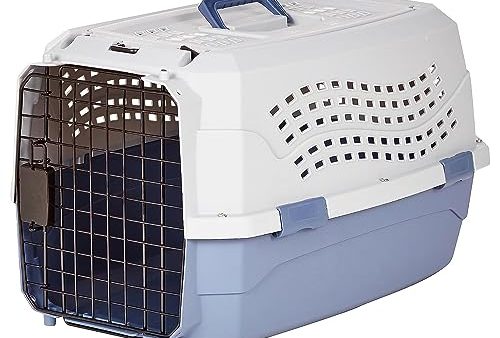 Avis Amazon Basics Niche animaux de compagnie : Test et opinions