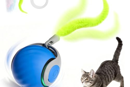 Avis Jouet Balle Interactifs pour Chats : Découvrez le Speedy Tail 2.0
