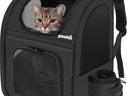 Avis Pecute Sac à Dos Chat : Test Complet et Guide