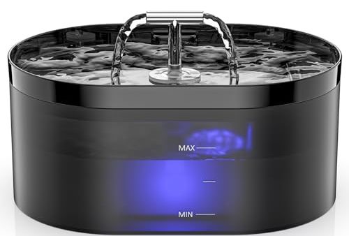 Avis Fontaine à Eau Automatique pour Chat – Notre Test