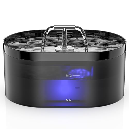 Avis Fontaine à Eau Automatique pour Chat – Notre Test