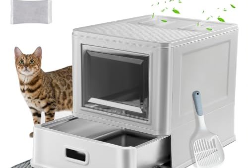 Avis Marchul Bac à Litière pour Chat : Test Complet