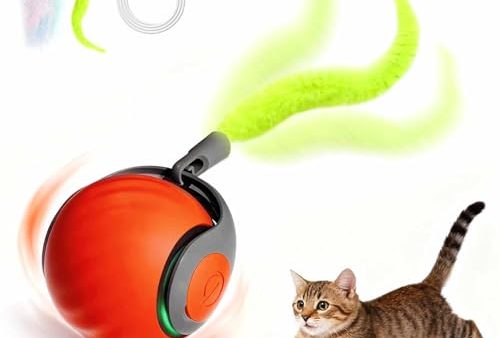 Avis Speedy Tail – Jouet interactif pour chats