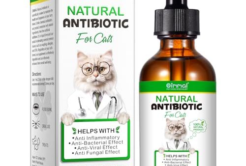 Avis Antibiotique Naturel pour Chats : Efficacité et Utilisation