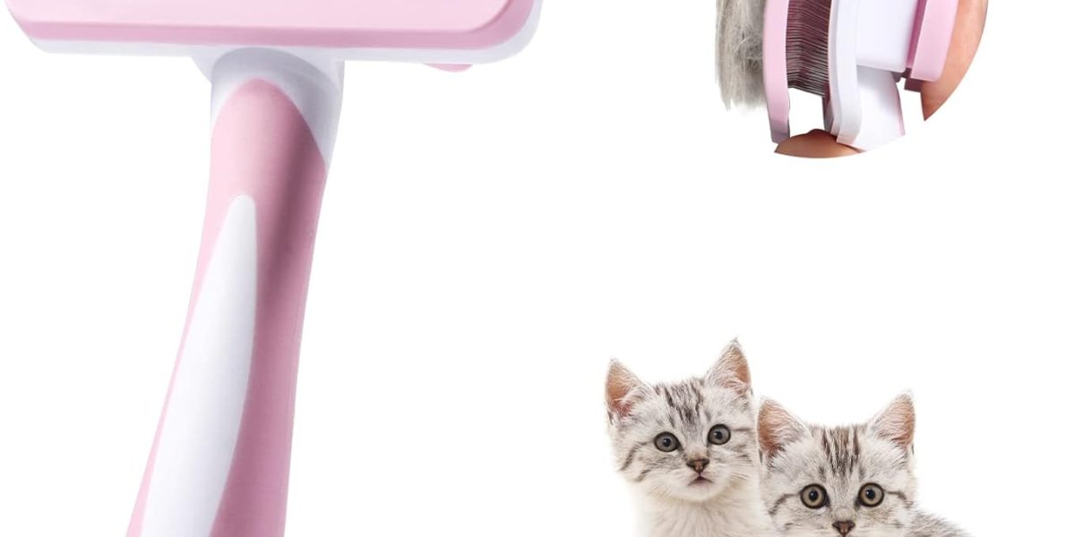 Quelle brosse pour chat choisir ? Guide et comparatif