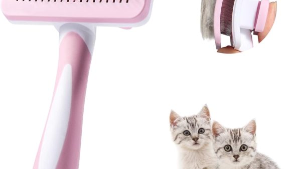 Quelle brosse pour chat choisir ? Guide et comparatif
