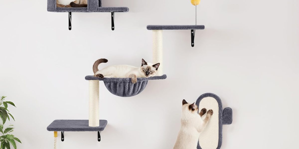 Comparatif des meilleurs arbres à chat muraux : Top 5