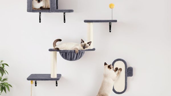 Comparatif des meilleurs arbres à chat muraux : Top 5