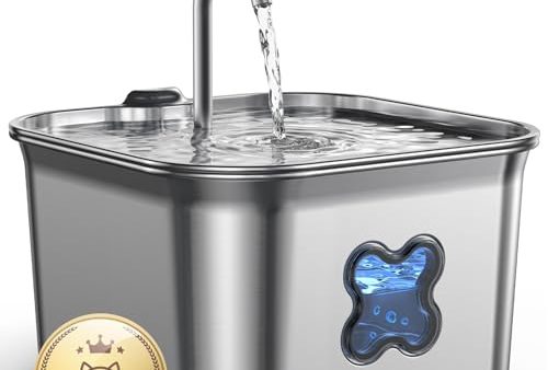 Avis FEELNEEDY Fontaine a Eau Chat : Test Complet