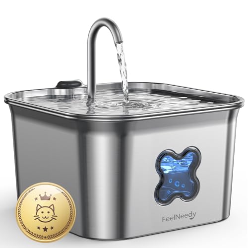 Avis FEELNEEDY Fontaine a Eau Chat : Test Complet