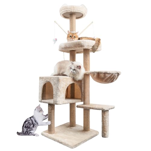 Avis Arbre à Chat 145 cm : Test Complet et Utilisation