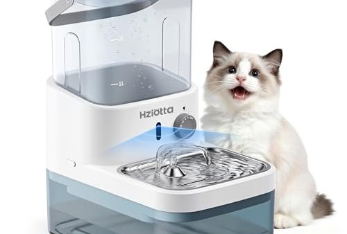Avis Hziotta Fontaine a Eau Chat : Un Choix Innovant