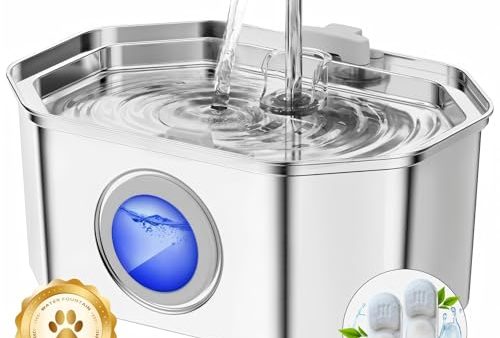 Avis Fontaine a Eau Chat INOX : Test Complet