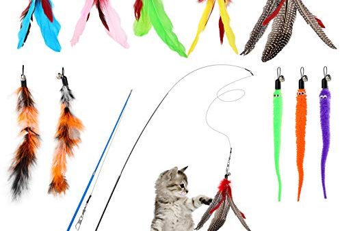 Avis Hianjoo Jouet à Plumes pour Chats : Test Complet