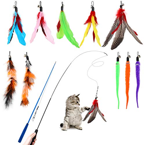 Avis Hianjoo Jouet à Plumes pour Chats : Test Complet