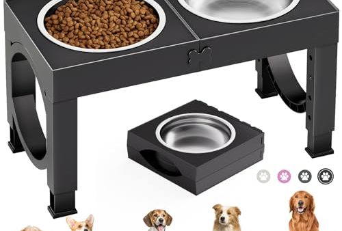 Avis X XBEN Gamelle Chien Surélevées : Test Complet