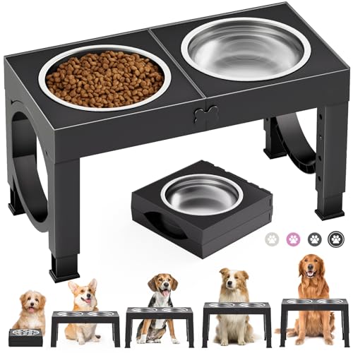 Avis X XBEN Gamelle Chien Surélevées : Test Complet