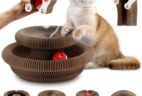 Avis Mittimiya Griffoir pour Chat Carton : Test Complet