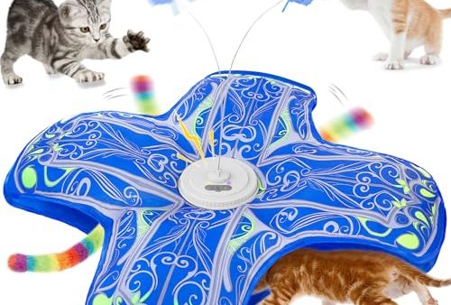 Avis Qraxond Jouet Interactif pour Chats : Test Complet