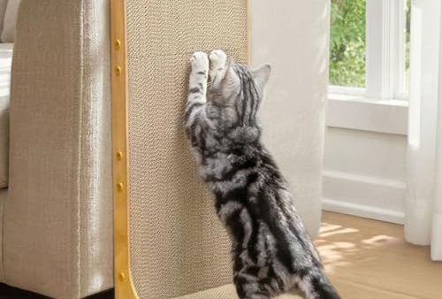 Avis Conlun Grattoir pour Chat : Forme et Fonctionnalité