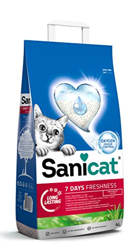 Avis Sanicat – Litière Classic Parfum : Test Complet
