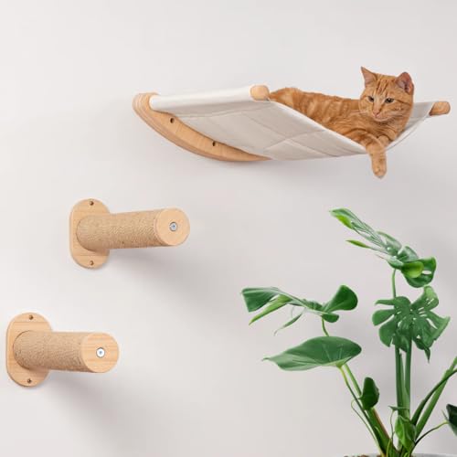 Avis Hamac Mural pour Chat : Confort et Design