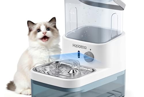 Avis Hziotta Fontaine a Eau Chat : Test Complet