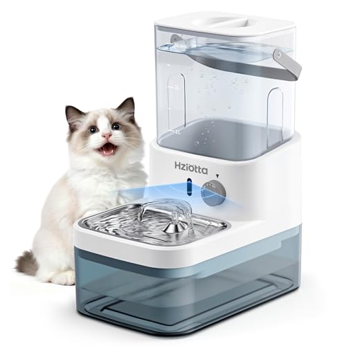 Avis Hziotta Fontaine a Eau Chat : Test Complet