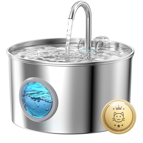 Avis Fontaine a Eau Chat INOX : Test Complet