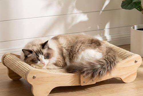 Avis Griffoir pour Chats en Sisal : Confort et Qualité