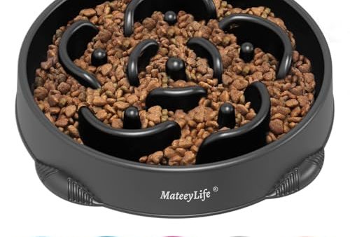 Avis MateeyLife Gamelle Anti Glouton pour Chiens et Chats