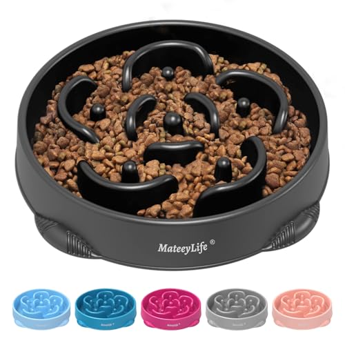 Avis MateeyLife Gamelle Anti Glouton pour Chiens et Chats