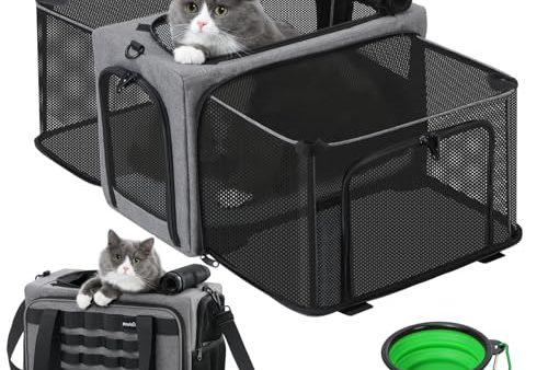 Avis Pecute Sac de Transport Chat : Test Complet