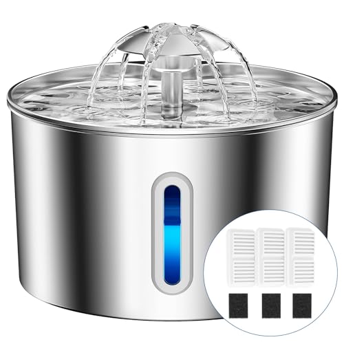 Avis BalimoPet Fontaine a Eau Chat : Test Complet