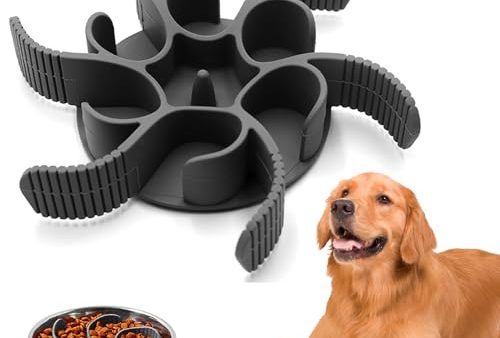 Avis Gamelle Anti Glouton Chien : Test et Utilisation