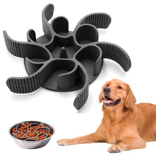 Avis Gamelle Anti Glouton Chien : Test et Utilisation