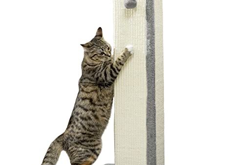 Avis PawHut Griffoir pour Chat 81 : Test Complet