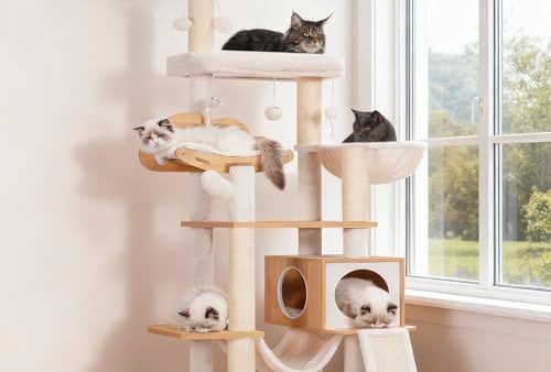 Avis Heybly Arbre à Chat Moderne : Confort et Design
