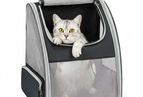 Avis Conlun Sac à Dos Transport : Test Complet