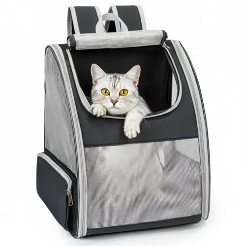 Avis Conlun Sac à Dos Transport : Test Complet