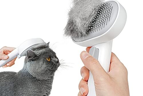 Avis aumuca Brosse Chat Autonettoyante : Test Complet