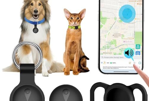 Avis Collier GPS Chat : Suivi Précis et Fiabilité