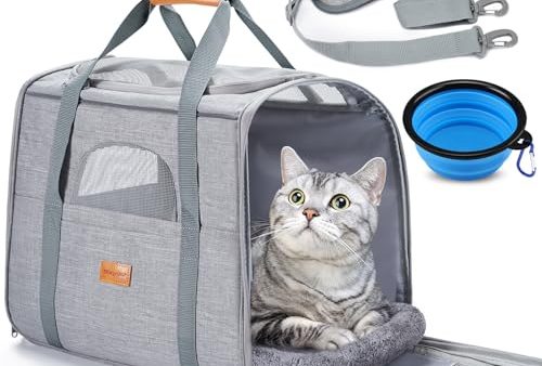 Avis Morpilot Cat Carrier: Confort et Sécurité pour Voyager